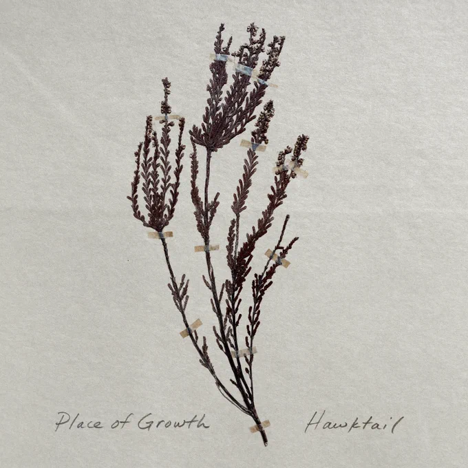 The album cover shows a herbarium - a 19th century Bell Heather held in place on paper display. 