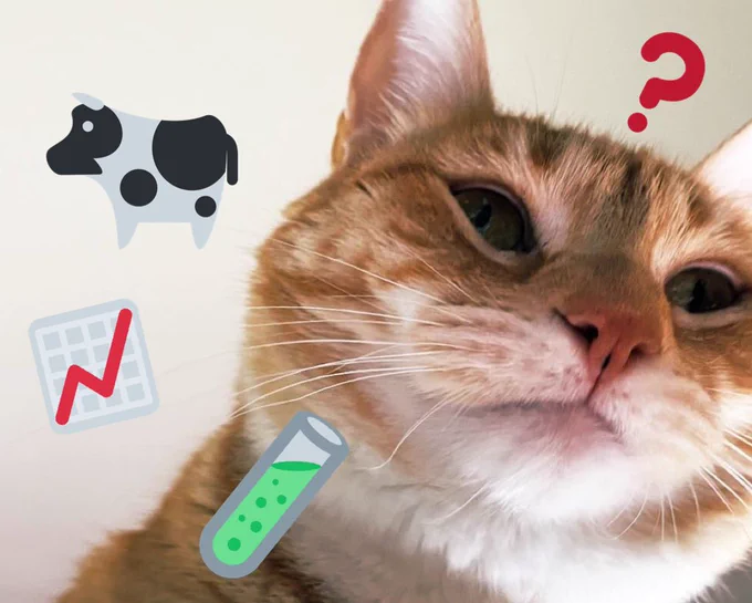 An orange cat is looking at you with a question mark on his head. The picture also has a cartoon cow, a cartoon chart of data and a cartoon science test tube.