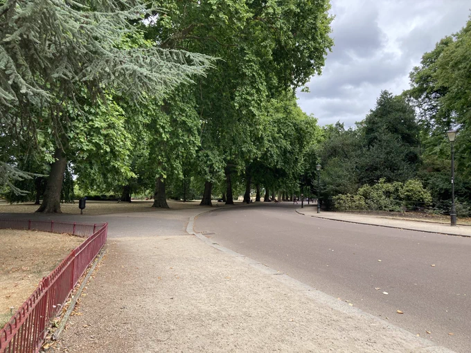 Beautiful line of trees in Battersea park