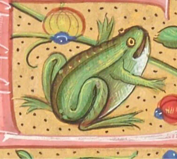 a medieval drawing of a green frog with wide eyes, a big goofy smile, and his arms in the air