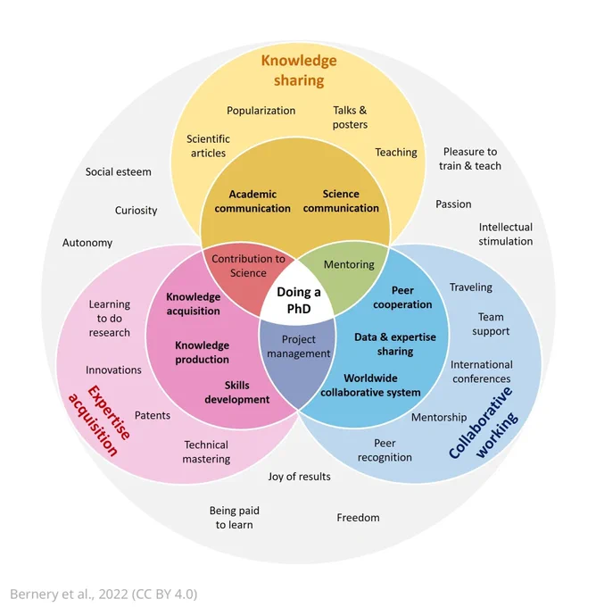 Detailed venn diagram showing the three primary benefits of doing a PhD: acquiring expertise (pink circle), learning to work in a collaborative environment (blue), and developing communication skills for sharing knowledge (yellow). 