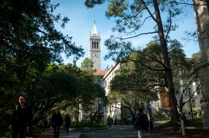 The Campanile peeks through trees on the UC Berkeley campus.