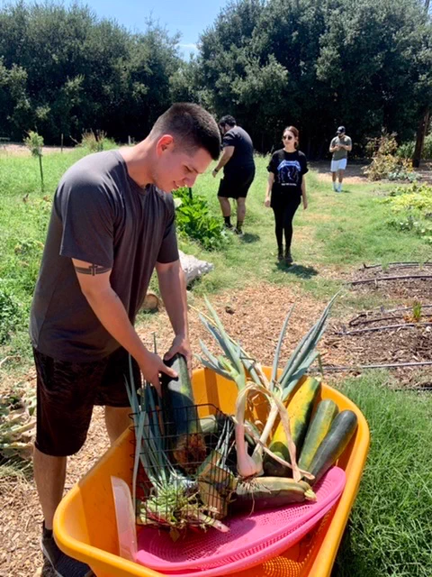 Students harvest produce at Lopez Urban Farm