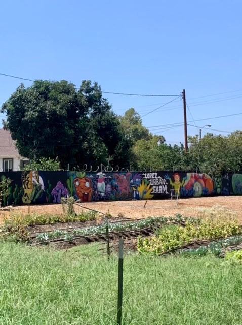 Lopez Urban Farm’s mural spans over 100 feet. A network of artists volunteered to paint the vibrantly colored mural. 