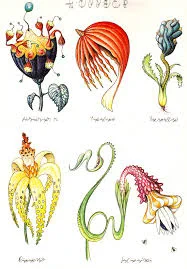 5 imaginary plant creatures with holes, bobs, and twists that make them seem majestic. Artwork by Luigi Serafini.