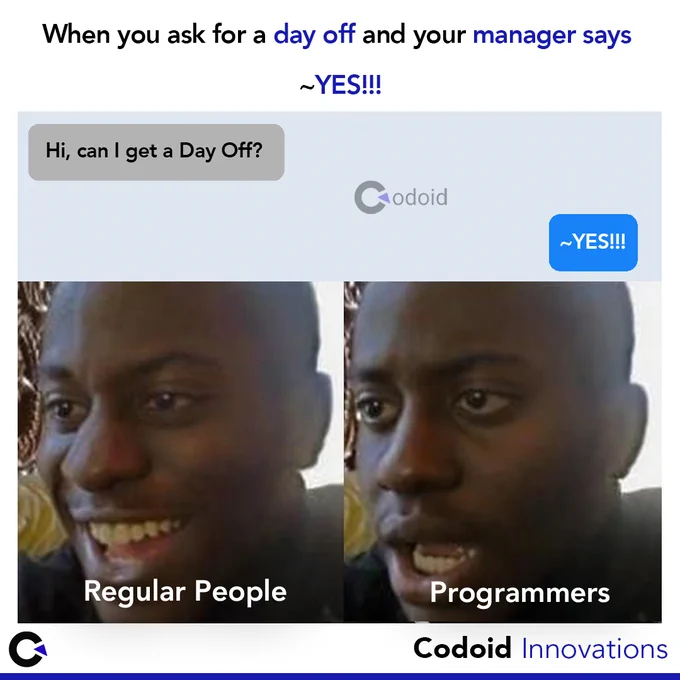 Software Testing Memes