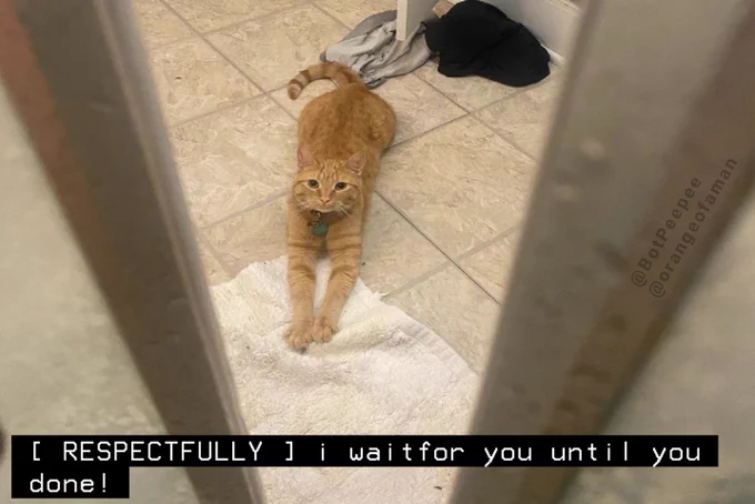 The camera peeks through a cracked door at Elton, an orange cat sitting on tile floor with his front two paws outstretched. He looks intently at you.

Tone word: RESPECTFULLY
Caption: i wait for you until you done!