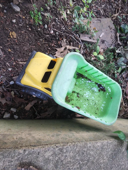 Kids plastic toy dump truck holding water in my yard