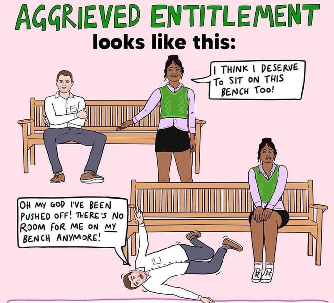 Title: Aggrieved Entitlement looks like this: 

There are 2 scenes. One has a white man in a white shirt, grey pants and brown shoes with his arms folded and he's sitting on a bench. There is room beside him. A Black woman in a black skirt white shoes a pink long-sleeve shirt with a green vest over it says as she points to the bench "I think I deserve to sit on this bench too!" 

The second scene has the woman sitting on the empty side of the bench looking nervously as the man is now on the ground flailing. He says "oh my god I've been pushed off! There's no room for me on MY bench anymore!" 
The word "my" is underlined. 
