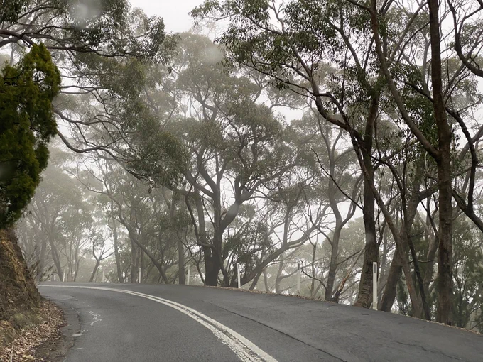 Road curving away with misty trees fading to one side