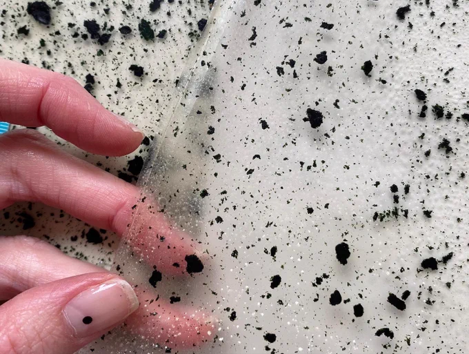 A participant holds up a sheet of algae bioplastic. A clear sheet of a plastic flecked with dark green algae, that forms an effect a bit like terrazzo.