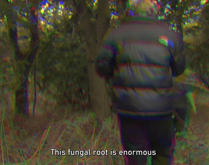Still from The Commons showing a young adult in a black puffer jacket and black trousers from behind as he walks into a forest, with the subtitle "This fungal roots is enormous..."