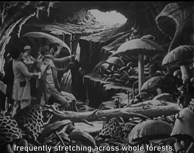 Still from The Commons showing a load of fancily dressed folk who are either tiny or are amongst some bigger-than-human-sized mushrooms, in black and white, with the subtitle: "frequently stretching across whole forests."