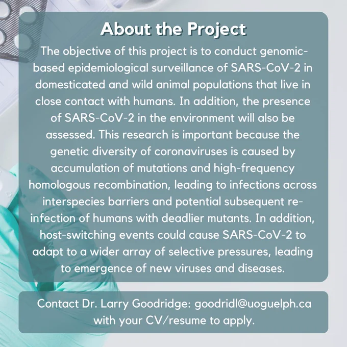 A graphic with text entitled "About the Project" followed by a detailed description of an available PhD project at the University of Guelph. Additional text states "Contact Dr. Larry Goodridge: goodridl@uoguelph.ca with your CV/resume to apply."