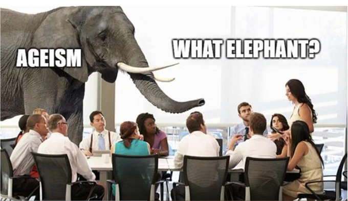 a dozen people around a conference table with elephant looming over it. text superimposed on the image says AGEISM and WHAT ELEPHANT?