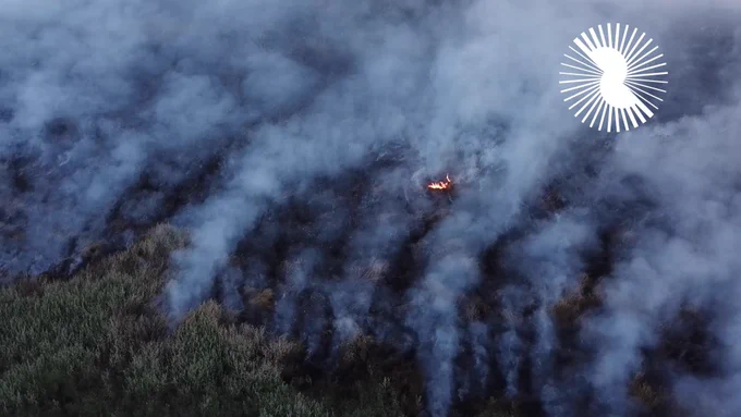 Nuestro objetivo en Drovid, es hacer viable, efectivo y sostenible, el monitoreo continuo de bosques, para proteger la naturaleza contra el riesgo de incendios forestales. De esta forma buscamos ayudar a la sociedad y al medio ambiente, a lidiar con los devastadores efectos del cambio climático aplicando nuestra tecnología de IA. 🌍🌱
