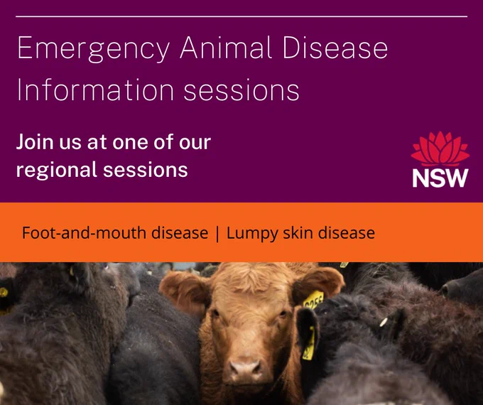 Emergency Animal Disease Information sessions 
Join us at one of our regional sessions 

Foot-and-mouth disease | Lumpy skin disease 

NSW Government logo