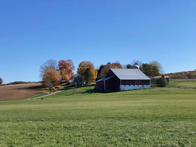 A farm field with an outbuilding painted blue and trees in the distance
