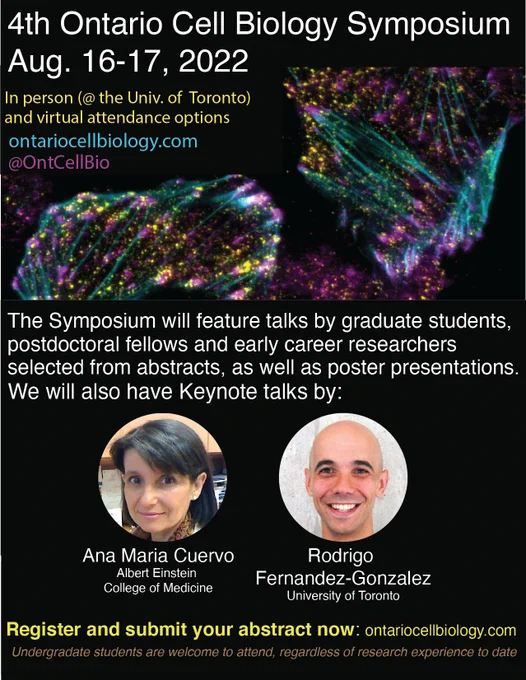 Poster to advertise the 4th Ontario Cell Biology Symposium to be held on August 16-17, 2022. Participants can attend in person at the University of Toronto or virtually. 

To register and submit an abstract: ontariocellbiology.com

The Symposium will feature talks by graduate students, postdoctoral fellows and early career researchers. We will also have keynote talks by Anna Maria Cuervo (Albert Einstein College of Medicine, New York) and Rodrigo Fernandez-Gonzalez (University of Toronto). 

You can register and/or submit an abstract for a poster presentation at ontariocellbiology.com

Undergraduate students are welcome to attend, regardless of prior research experience. 