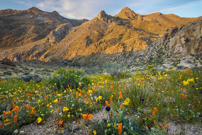 Taken by Bob Wick, Bureau of Land Management, March 27, 2017