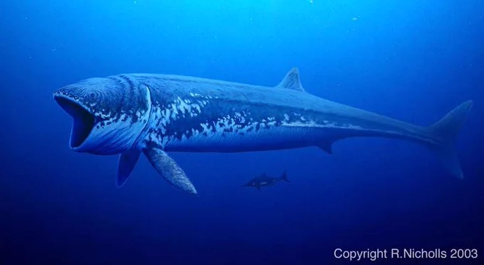 Painting of Leedsichthys problematicus by Bob Nicholls, showing the enormous filter-feeding fish with its mouth open, presumably collecting plankton. It dwarfs an ichthyosaur shown for scale, of perhaps one eighth the length.