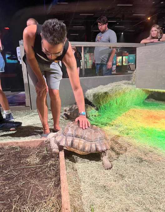 Man petting sulcata tortoise