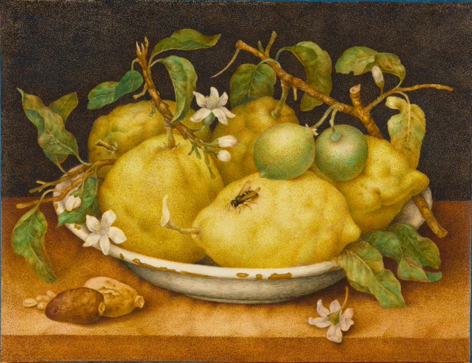 A drawing depicting yellow and green fruits surrounded by white flowers inside a chipped ceramic bowl.
