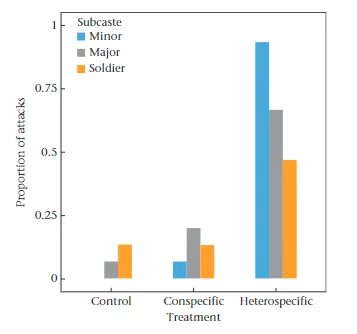 Image is a screeshot of the featured paper showing a plot with the proportion of attacks by different Atta sexdens subcastes registered in each trial (subcolony) towards nestmates (control), conspecifics and heterospecific non-nestmates (Atta laevigata).
