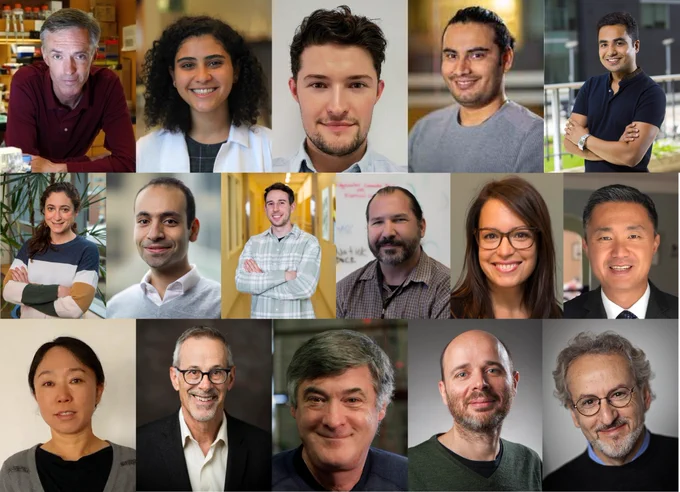 16 portrait photos of researchers in varying poses.