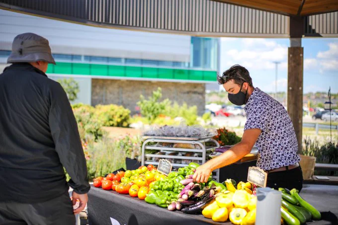 A DC employee is selecting fresh produce for a customer at the DC farmers market.