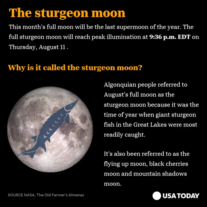 Infographic showing an illustration of the moon with a sturgeon on top of it, showing the date and time of the full moon along with some background on the name.