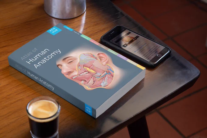 The first 27 pages of the @Kenhub Atlas of Human Anatomy are available as a free PDF preview. Have a peek if you have a free minute...

https://www.kenhub.com/en/atlas-of-human-anatomy

#anatomy #MedEd 
https://zenodo.org/records/10113464