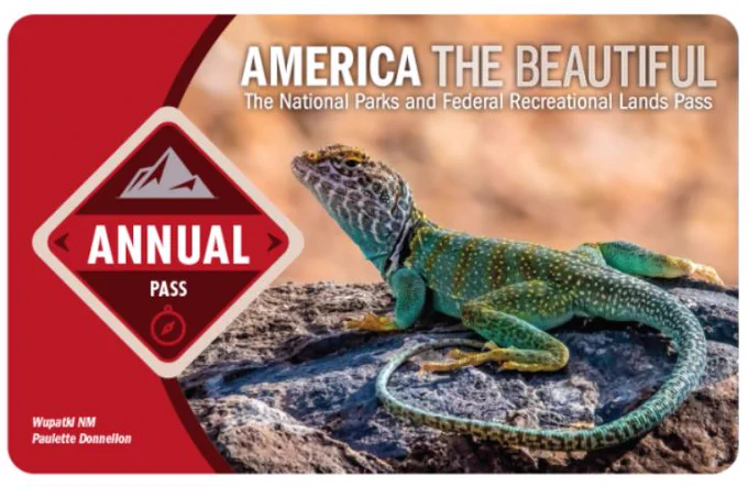 Image of the pass - shows a lizard sitting on a rock. 