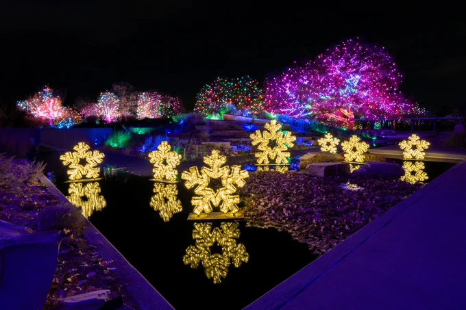 Holiday light display featuring lit large 3-D snowflakes resting on the surface of water and a collection of trees in the background wrapping with colorful lights.