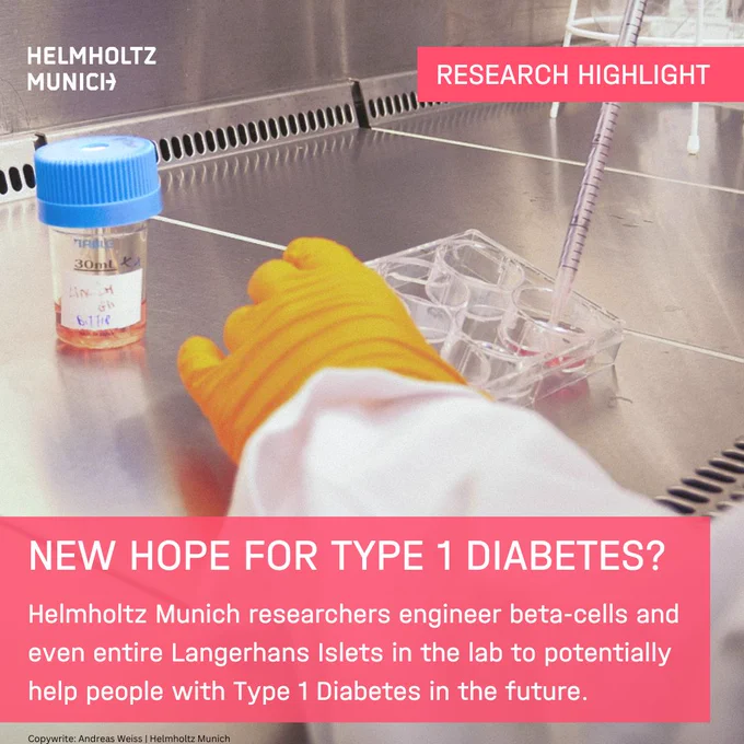 Handcrafted Langerhans Islets: New Hope for Type 1 Diabetes Patients?