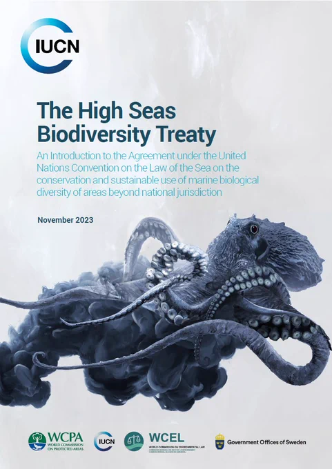 IUCN High Seas Treaty Policy Brief, with foreword by Dr Grethel Aguilar, IUCN Director General.