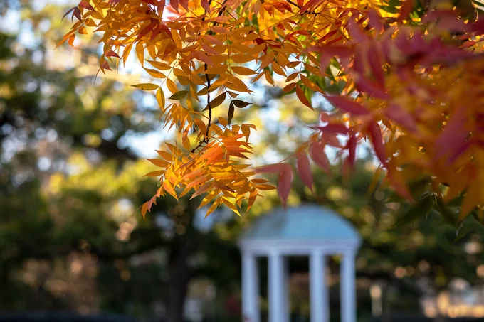 The Old Well under autumn foliage