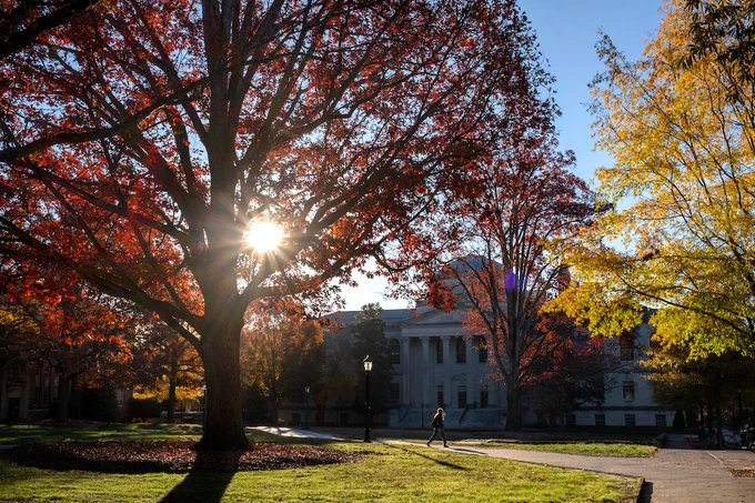 The sun shines behind Wilson Library on an autumn day