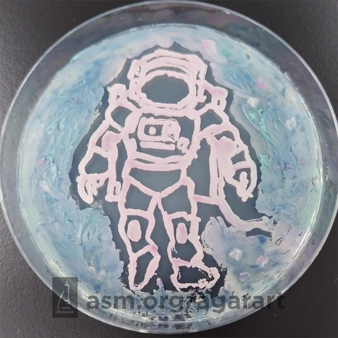 An astronaut drawn out of microbes on a petri dish