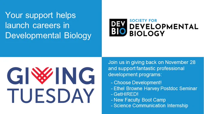 Your support helps launch careers in Developmental Biology; Society for Developmental Biology logo; Giving Tuesday logo; Join us in giving back on November 28 and support fantastic professional development programs: 

  - Choose Development!
  - Ethel Browne Harvey Postdoc Seminar
  - GetHIRED!
  - New Faculty Boot Camp
  - Science Communication Internship