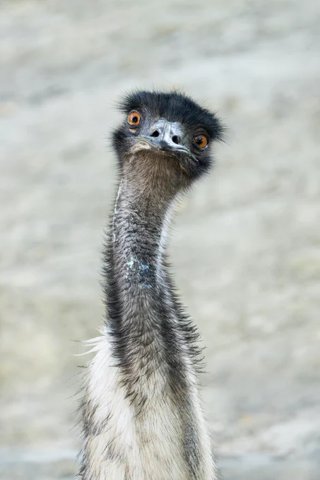 Photo by David Clode on Unsplash