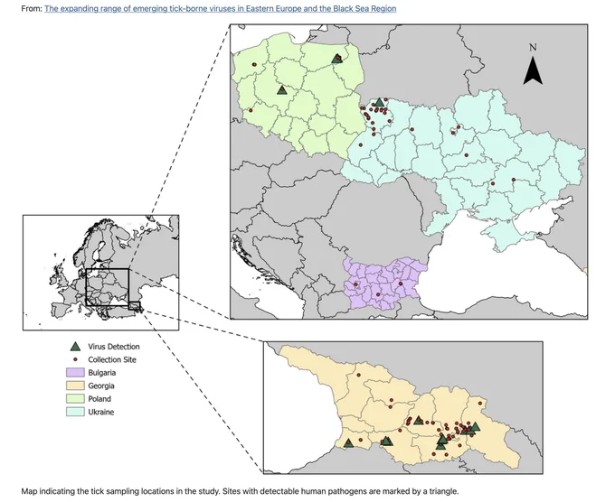 Figure 3: Map indicating the tick sampling locations in the study. Sites with detectable human pathogens are marked by a triangle. (Legend: triangle for virus detection, red dot for collection sites, Blugaria in purple, Georgia in yellow, and Ukraine in blue.)