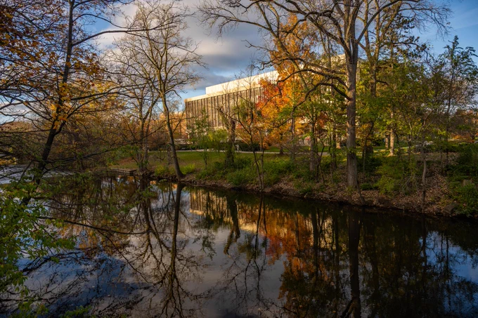 Bare branches mixed with orange leaves on trees near the Red Cedar River and the John Hannah Administration Building.