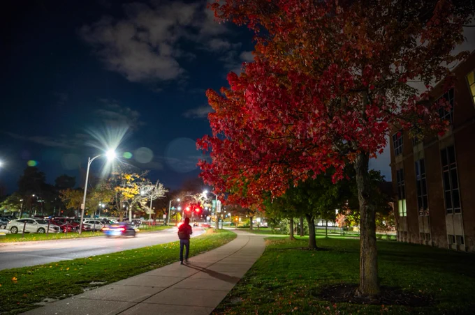 Crimson leaves at the International Center frame the view of West Shaw Lane at night.