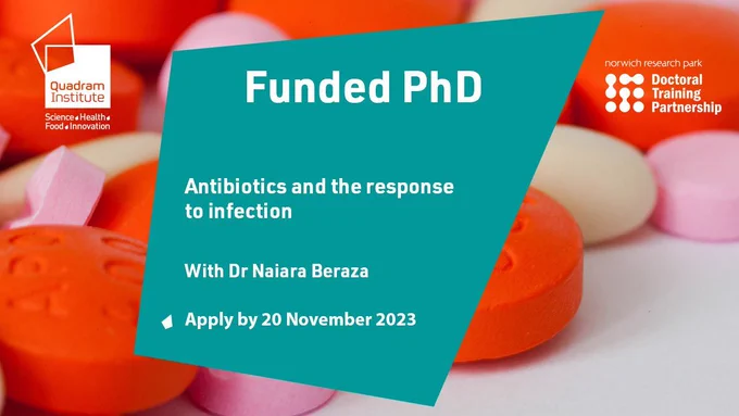 A social card with a photo of antibiotics that are orange and pink, and the text "Funded PhD, Antibiotics and the response to infection, with Dr Naiara Beraza. Apply by 20 November 2023" with the Quadram Institute logo and and NRP DTP logo.