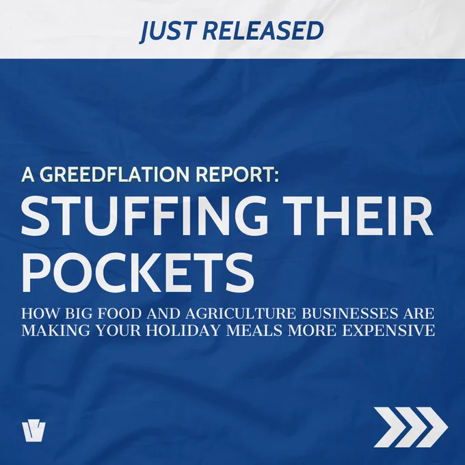 Just Released
A Greedflation Report:
Stuffing Their Pockets
How Big Food and Agriculture Businesses are Making Your Holiday Meals More Expensive 