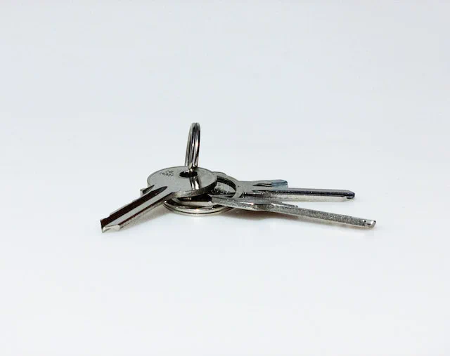 A picture of keys on a table