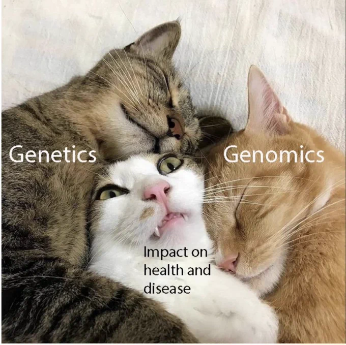 Two cats labeled as "Genetics" and "Genomics" are aggressively snuggling a cat labeled as "Impact on health and disease."