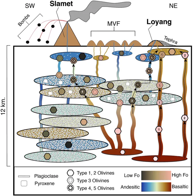 Schematic figure from a scientific paper. Shows the magma plumbing system of a volcano, with representations of magma made by elongate ellipses that are colored according to their composition. The composition of olivine minerals is shown in cartoon form, demonstrating what magma plumbing processes transport specific subsets of the olivine crystal cargo to particular eruptive vents.