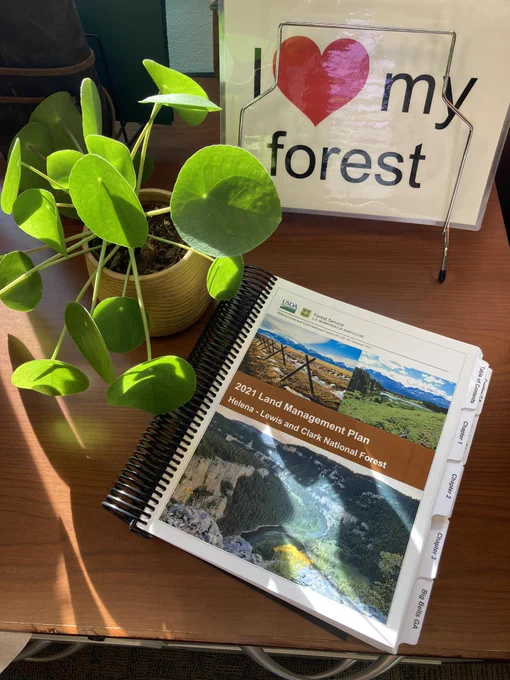 Helena-Lewis and Clark National Forest Land Management Plan book in foreground surrounded by a plant and a sign that says, "I love my forest."
